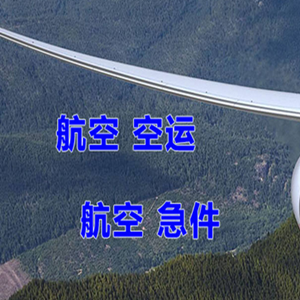 六盘水月照航空运输快递-选东方航空和上海航空