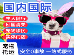 六盘水月照航空运输国际宠物托运 【国